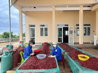 Phát triển bền vững