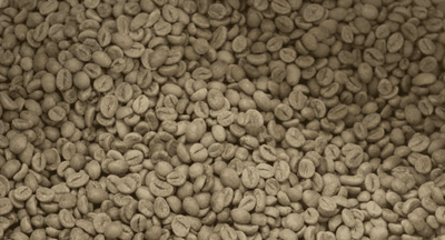 Robusta Honey
