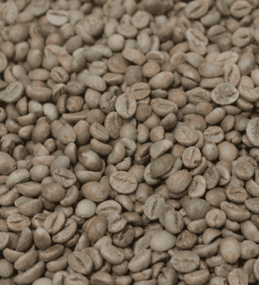 Arabica Hạng 2 (G2) S13, S16, S18