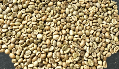 Arabica Hạng 2 (G2) S13, S16, S18