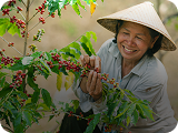 Quản lý rủi ro thời tiết