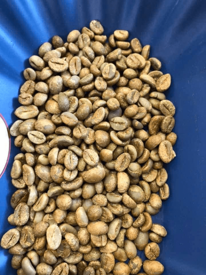 Chất lượng trung bình (FAQ) S13, S16